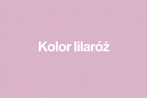 Kolor lila róż