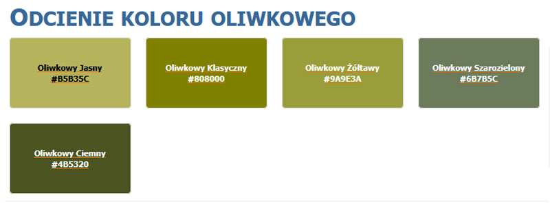 Odcienie koloru oliwkowego - przegląd