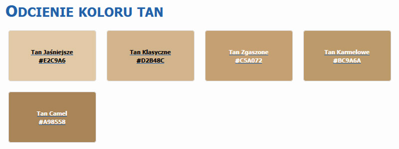 Odcienie koloru tan